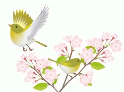 uguisu0830.jpg(15302 byte)